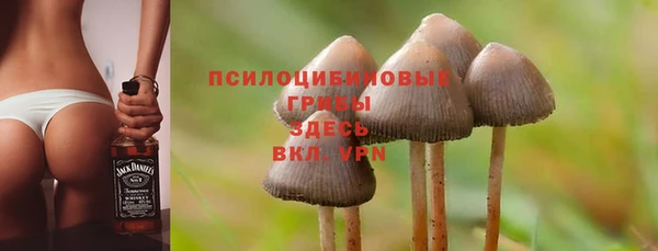 индика Бронницы