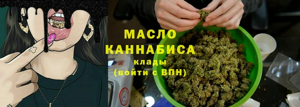 индика Бронницы