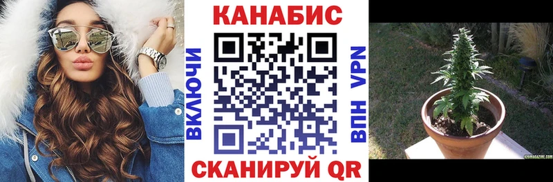 где купить   Бологое  МАРИХУАНА Amnesia 